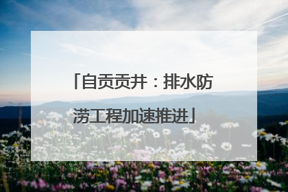 自贡贡井：排水防涝工程加速推进