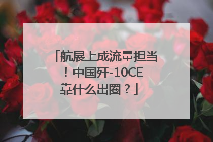 航展上成流量担当！中国歼-10CE靠什么出圈？