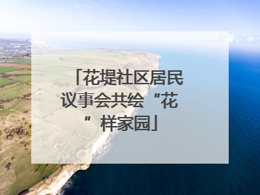 花堤社区居民议事会共绘“花”样家园