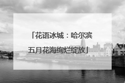 花语冰城：哈尔滨五月花海绚烂绽放