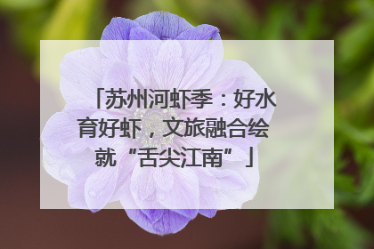 苏州河虾季：好水育好虾，文旅融合绘就“舌尖江南”