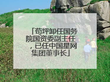 苟坪卸任国务院国资委副主任，已任中国星网集团董事长
