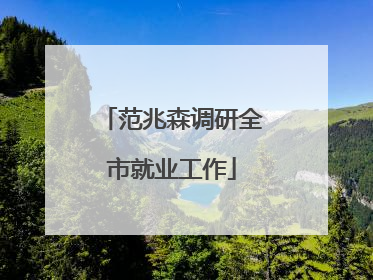 范兆森调研全市就业工作