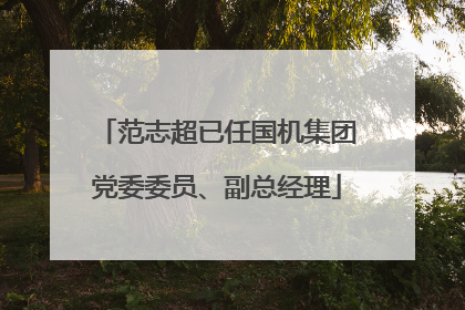 范志超已任国机集团党委委员、副总经理