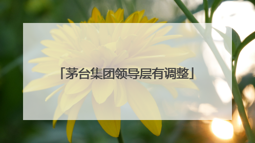 茅台集团领导层有调整