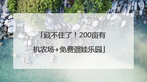 藏不住了！200亩有机农场+免费遛娃乐园