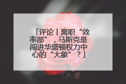 评论丨离职“效率部”，马斯克是闯进华盛顿权力中心的“大象”？