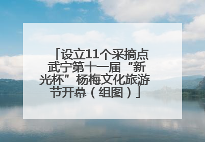 设立11个采摘点 武宁第十一届“新光杯”杨梅文化旅游节开幕（组图）
