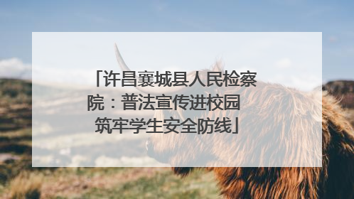 许昌襄城县人民检察院：普法宣传进校园 筑牢学生安全防线
