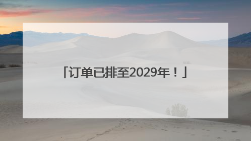 订单已排至2029年！