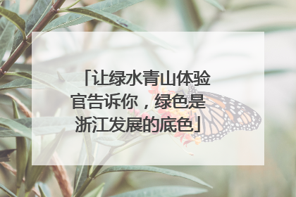 让绿水青山体验官告诉你，绿色是浙江发展的底色