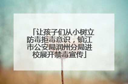 让孩子们从小树立防毒拒毒意识，镇江市公安局润州分局进校展开禁毒宣传