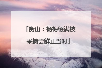 衡山：杨梅缀满枝 采摘尝鲜正当时
