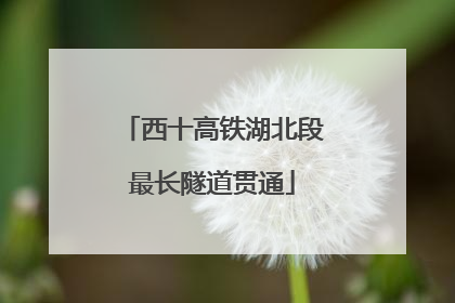 西十高铁湖北段最长隧道贯通