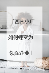 西南小厂如何蝶变为领军企业