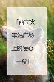 西宁火车站广场上的暖心一幕