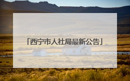 西宁市人社局最新公告