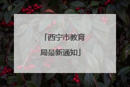西宁市教育局最新通知