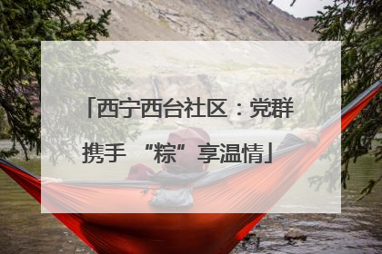 西宁西台社区：党群携手 “粽”享温情