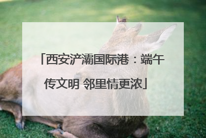 西安浐灞国际港：端午传文明 邻里情更浓
