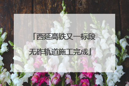 西延高铁又一标段无砟轨道施工完成