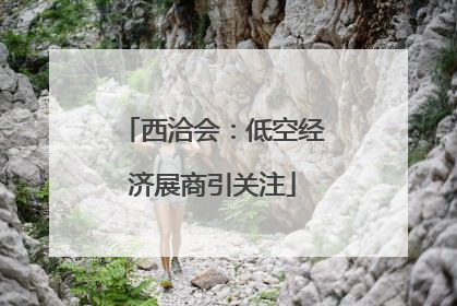 西洽会：低空经济展商引关注