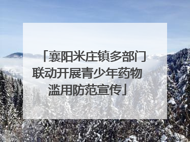 襄阳米庄镇多部门联动开展青少年药物滥用防范宣传