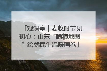 观澜亭｜麦收时节见初心：山东“晒粮地图”绘就民生温暖画卷