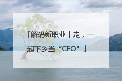 解码新职业丨走，一起下乡当“CEO”