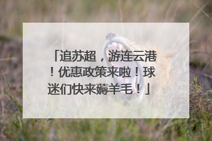 追苏超，游连云港！优惠政策来啦！球迷们快来薅羊毛！