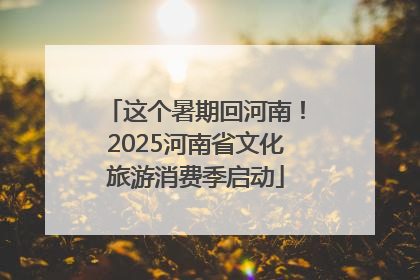 这个暑期回河南！2025河南省文化旅游消费季启动