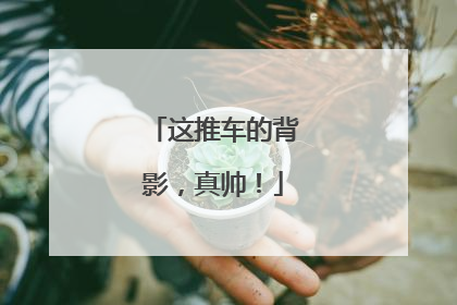 这推车的背影，真帅！