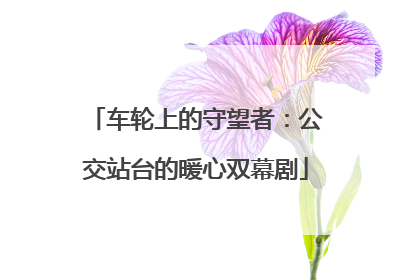 车轮上的守望者：公交站台的暖心双幕剧