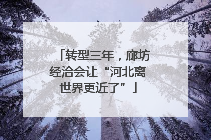 转型三年，廊坊经洽会让“河北离世界更近了”