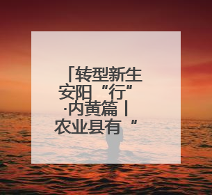 转型新生安阳“行”·内黄篇丨农业县有“大智慧”