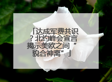 达成军费共识？北约峰会宣言揭示美欧之间“貌合神离”