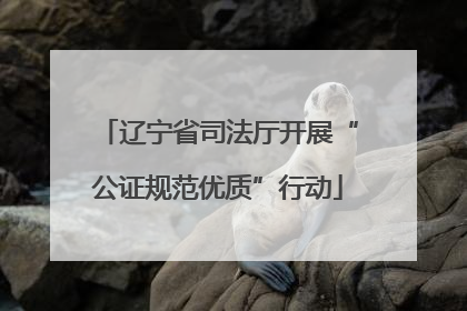 辽宁省司法厅开展“公证规范优质”行动