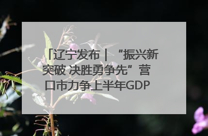 辽宁发布｜“振兴新突破 决胜勇争先”营口市力争上半年GDP增长6%左右