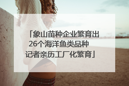 象山苗种企业繁育出26个海洋鱼类品种 记者亲历工厂化繁育