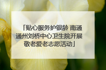 贴心服务护银龄 南通通州刘桥中心卫生院开展敬老爱老志愿活动