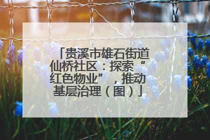 贵溪市雄石街道仙桥社区：探索“红色物业”，推动基层治理（图）