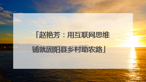 赵艳芳：用互联网思维铺就固阳县乡村助农路