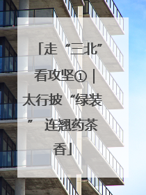 走“三北” 看攻坚①｜太行披“绿装” 连翘药茶香