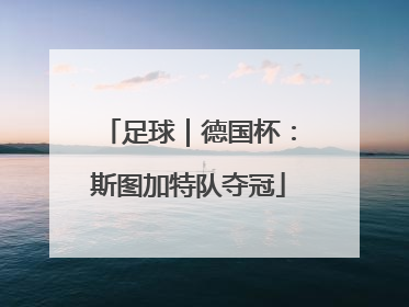 足球｜德国杯：斯图加特队夺冠