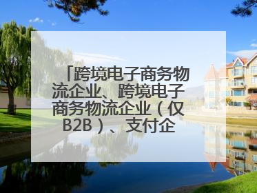 跨境电子商务物流企业、跨境电子商务物流企业（仅B2B）、支付企业备案操作指南