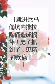 跳进兵马俑坑内推拉陶俑造成损坏！男子抓到了，患精神疾病……