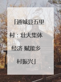 通城县五里村：壮大集体经济 赋能乡村振兴