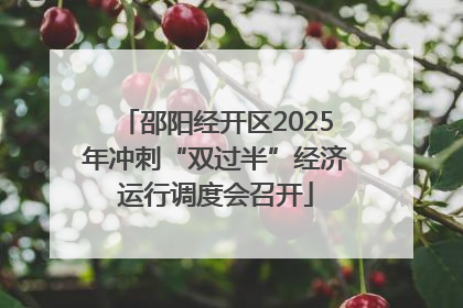 邵阳经开区2025年冲刺“双过半”经济运行调度会召开