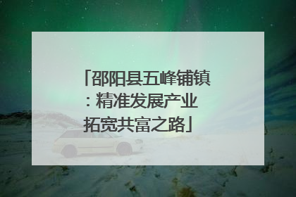 邵阳县五峰铺镇：精准发展产业 拓宽共富之路