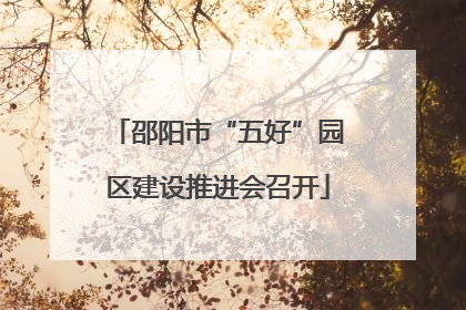 邵阳市“五好”园区建设推进会召开